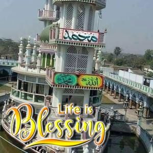 Meet your Posher, Bibi